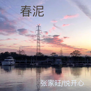 缅甸一级婬片A片金莲
