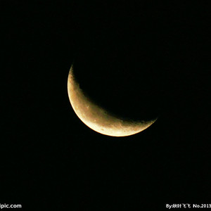 缅甸一级婬片A片金莲
